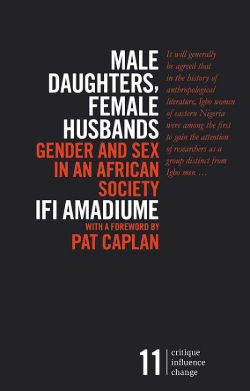 Amadiume Buchcover