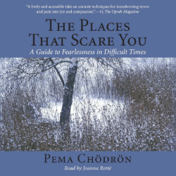 Pema Chödrön The Places That Scare You