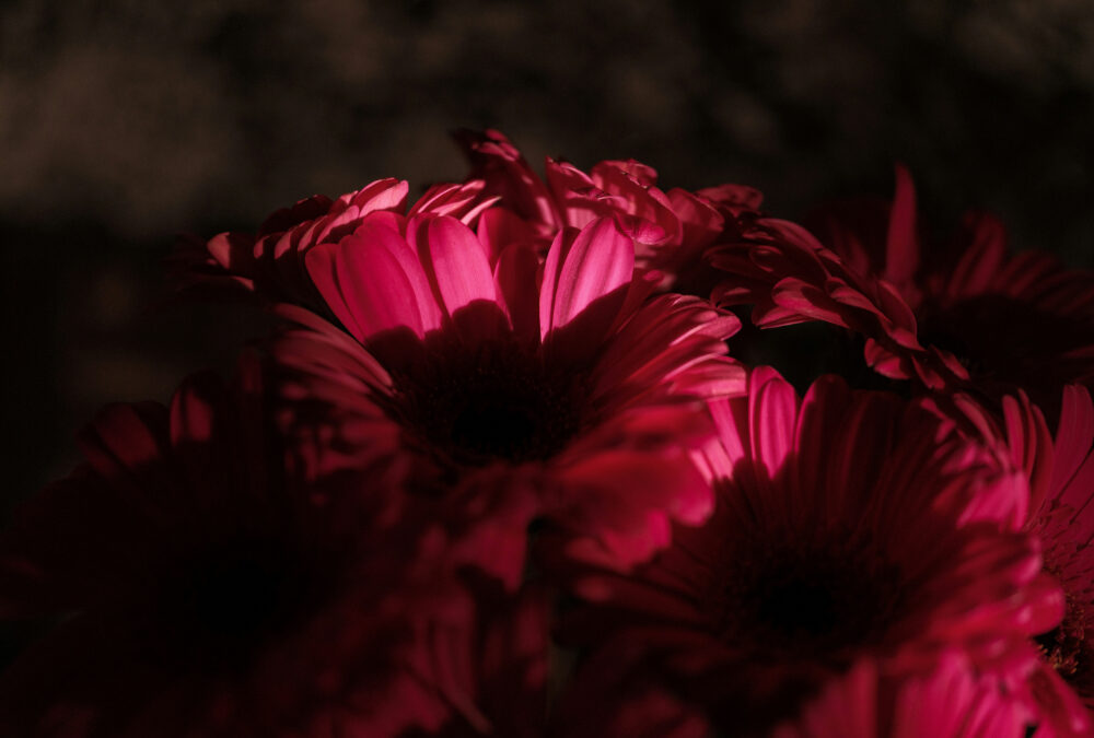 Wert oder Wunde? Bücher über komplexe PTBS und die Frage nach dem Selbst