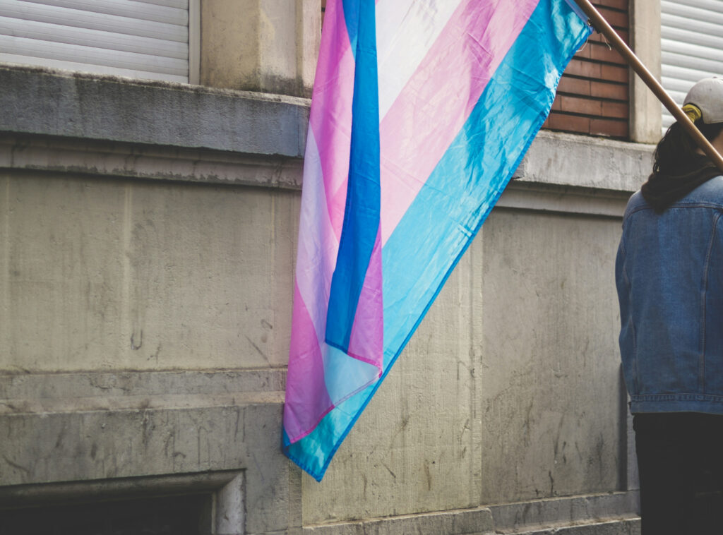 trans Fahne Literatur Buecher